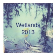 wetlands2013 #10