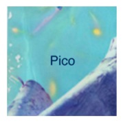 Pico 