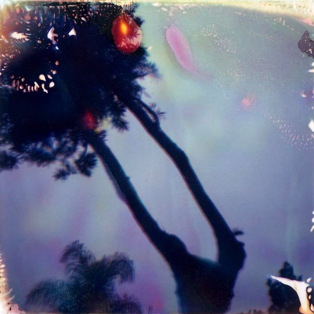 Ocean Park #4