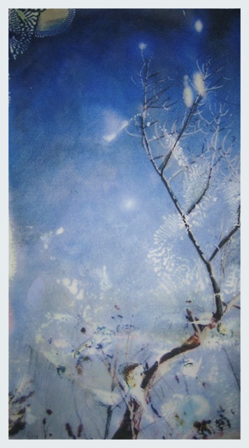 Louisiana Tree #1