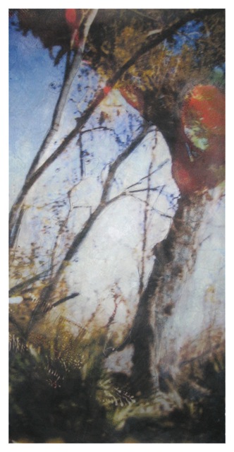 Louisiana Tree #8