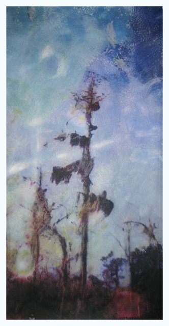 Louisiana Tree #11