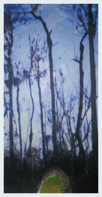 Louisiana Tree #14