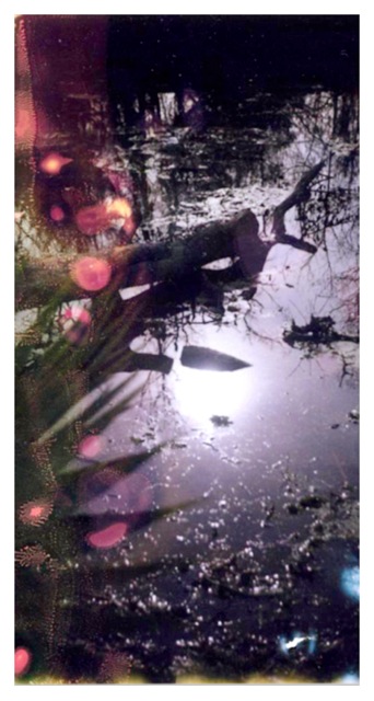 Louisiana Wetlands #1